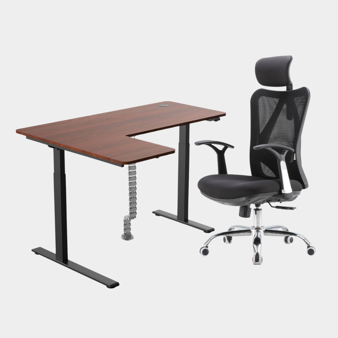 Dark Brown Carolina Height Adjustable Table M16 with headrest Grey Cable Management