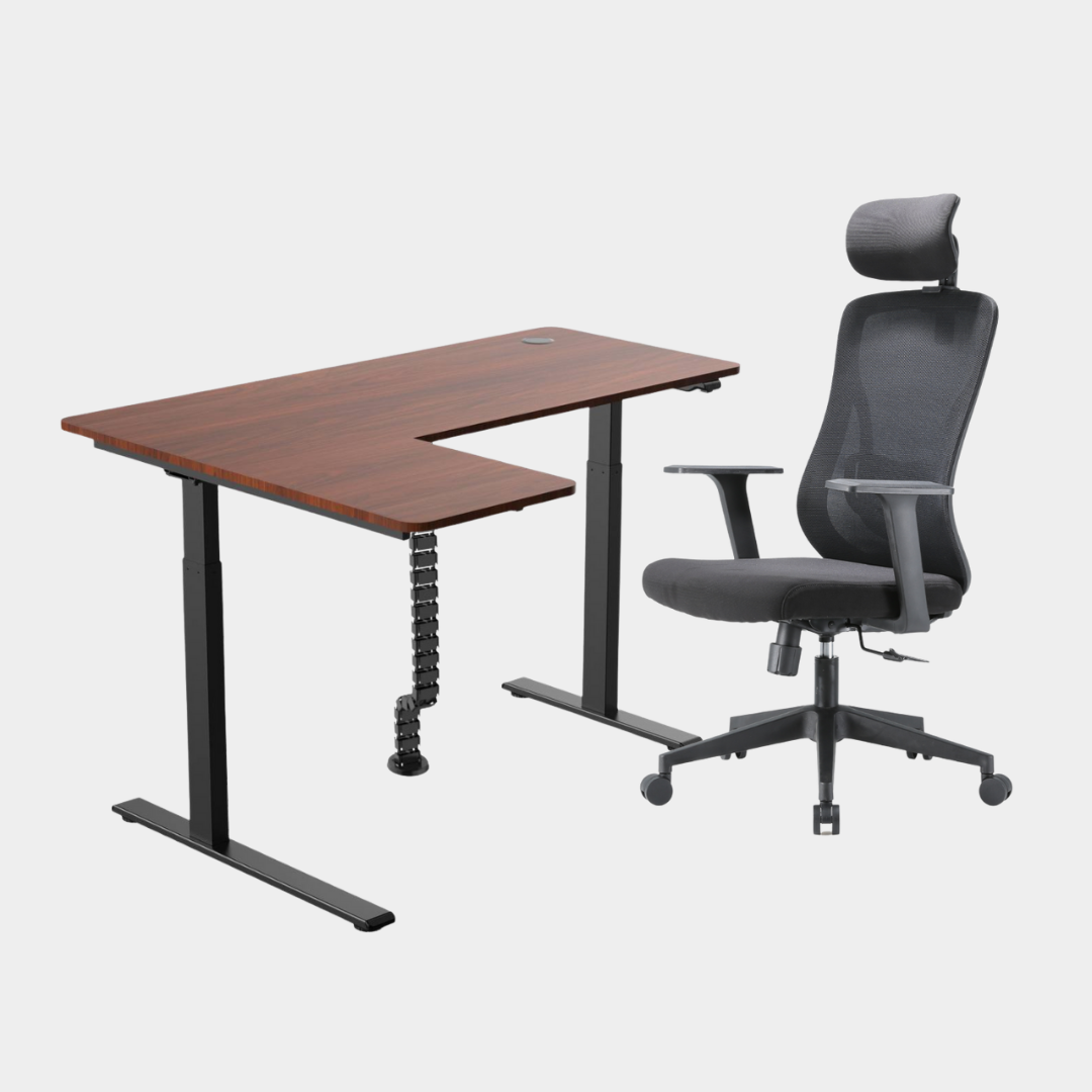 Dark Brown Carolina Height Adjustable Table M16 with headrest black Cable Management